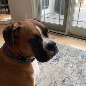 Meet your Posher, Alexandra